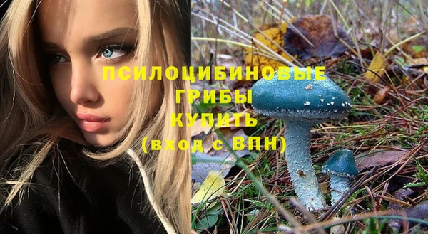СК Навашино