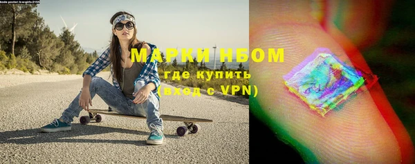 стаф Нея