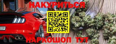 стафф Заволжье