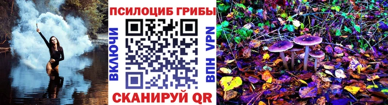 где купить   Нижнекамск  Псилоцибиновые грибы мухоморы 