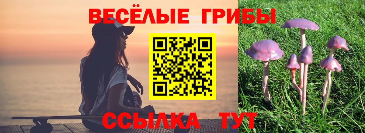 Галлюциногенные грибы мицелий Нижнекамск