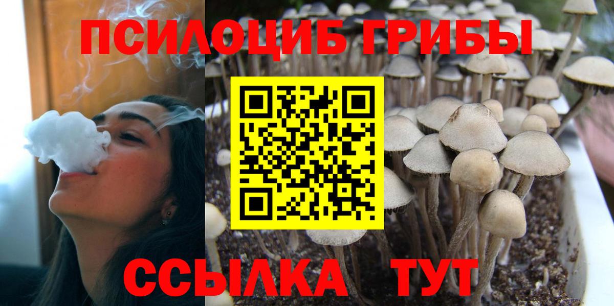 Марихуана  ГАШ  Нижнекамск  Меф МЯУ МЯУ кристаллы  Вход с VPN  Кокаин 