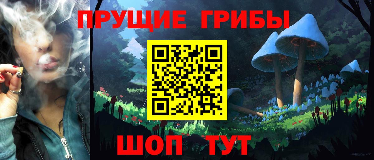 Галлюциногенные грибы Magic Shrooms  даркнет сайт  Нижнекамск  Вход с VPN 